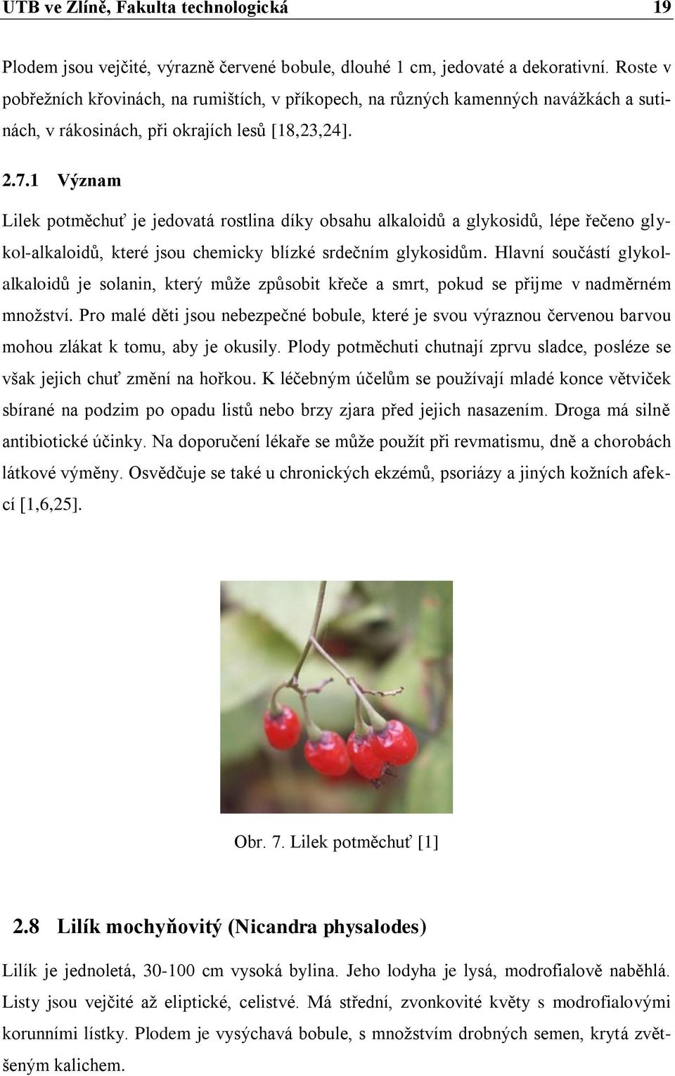 1 Význam Lilek potměchuť je jedovatá rostlina díky obsahu alkaloidů a glykosidů, lépe řečeno glykol-alkaloidů, které jsou chemicky blízké srdečním glykosidům.