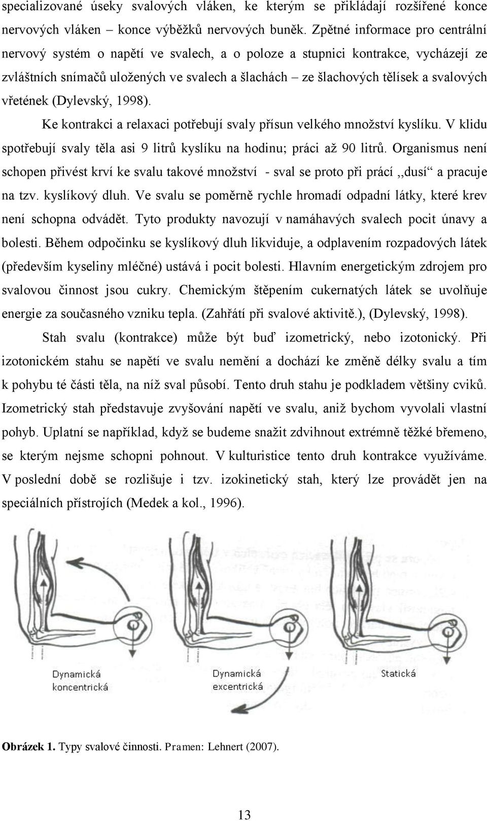 vřetének (Dylevský, 1998). Ke kontrakci a relaxaci potřebují svaly přísun velkého mnoţství kyslíku. V klidu spotřebují svaly těla asi 9 litrů kyslíku na hodinu; práci aţ 90 litrů.