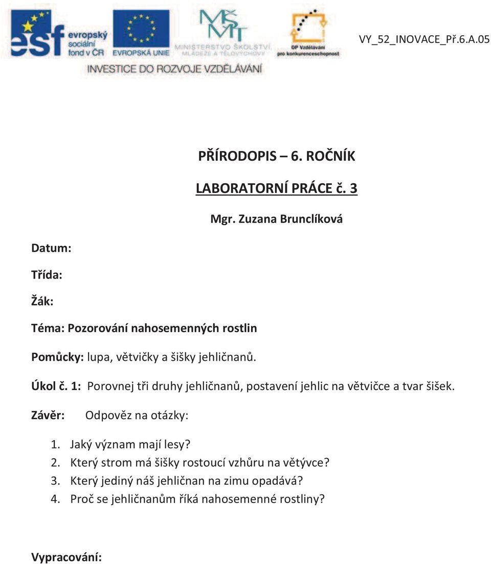 Úkol č. 1: Porovnej tři druhy jehličnanů, postavení jehlic na větvičce a tvar šišek. Závěr: Odpověz na otázky: 1.