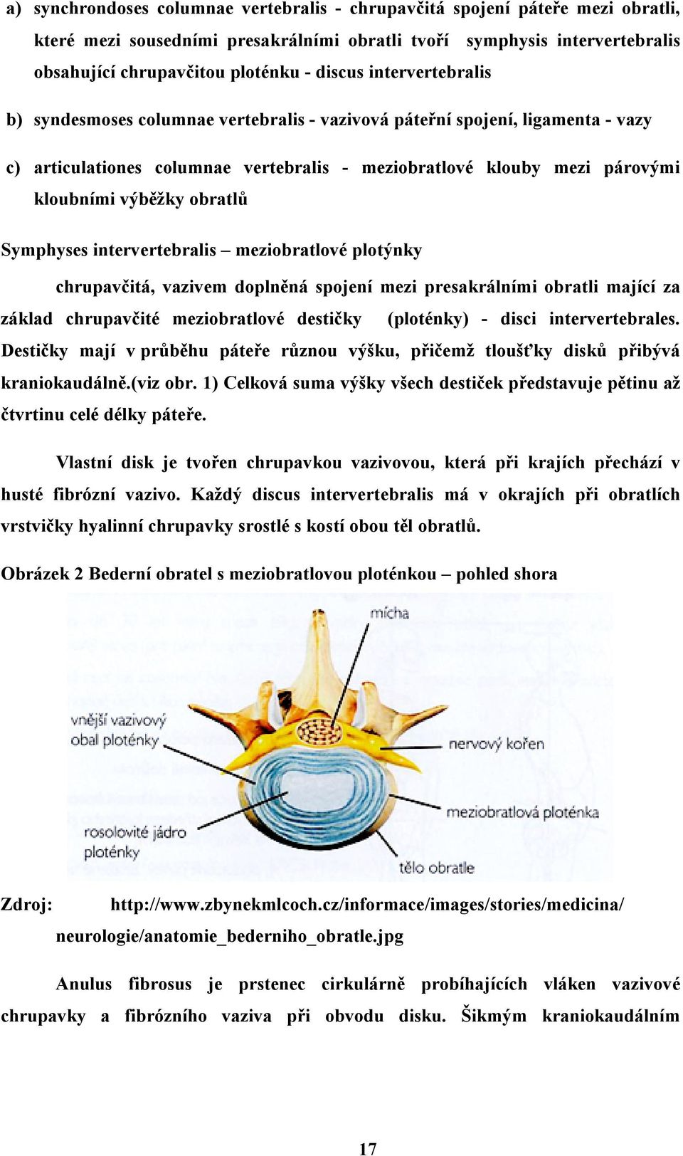 Symphyses intervertebralis meziobratlové plotýnky chrupavčitá, vazivem doplněná spojení mezi presakrálními obratli mající za základ chrupavčité meziobratlové destičky (ploténky) - disci