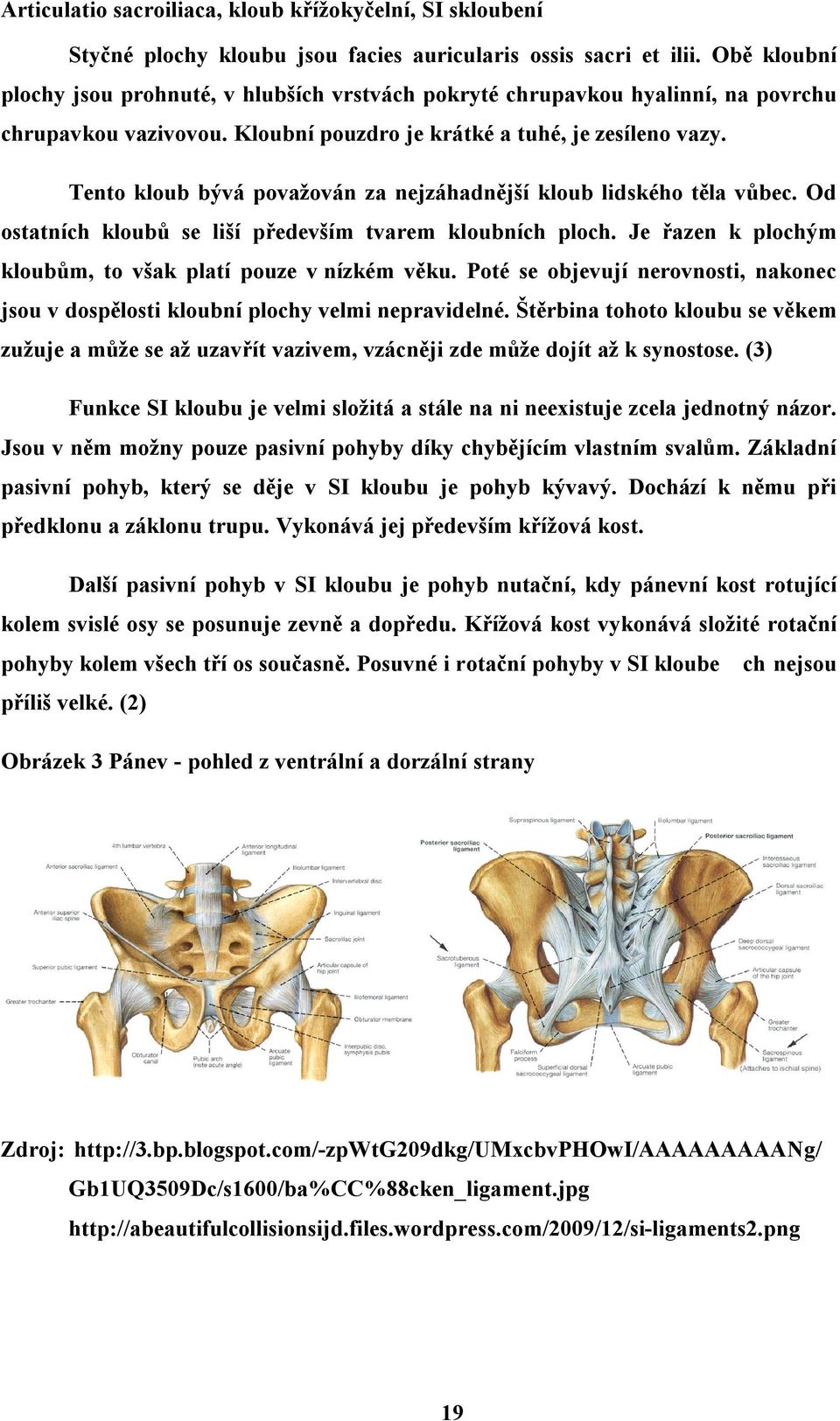 Tento kloub bývá považován za nejzáhadnější kloub lidského těla vůbec. Od ostatních kloubů se liší především tvarem kloubních ploch. Je řazen k plochým kloubům, to však platí pouze v nízkém věku.