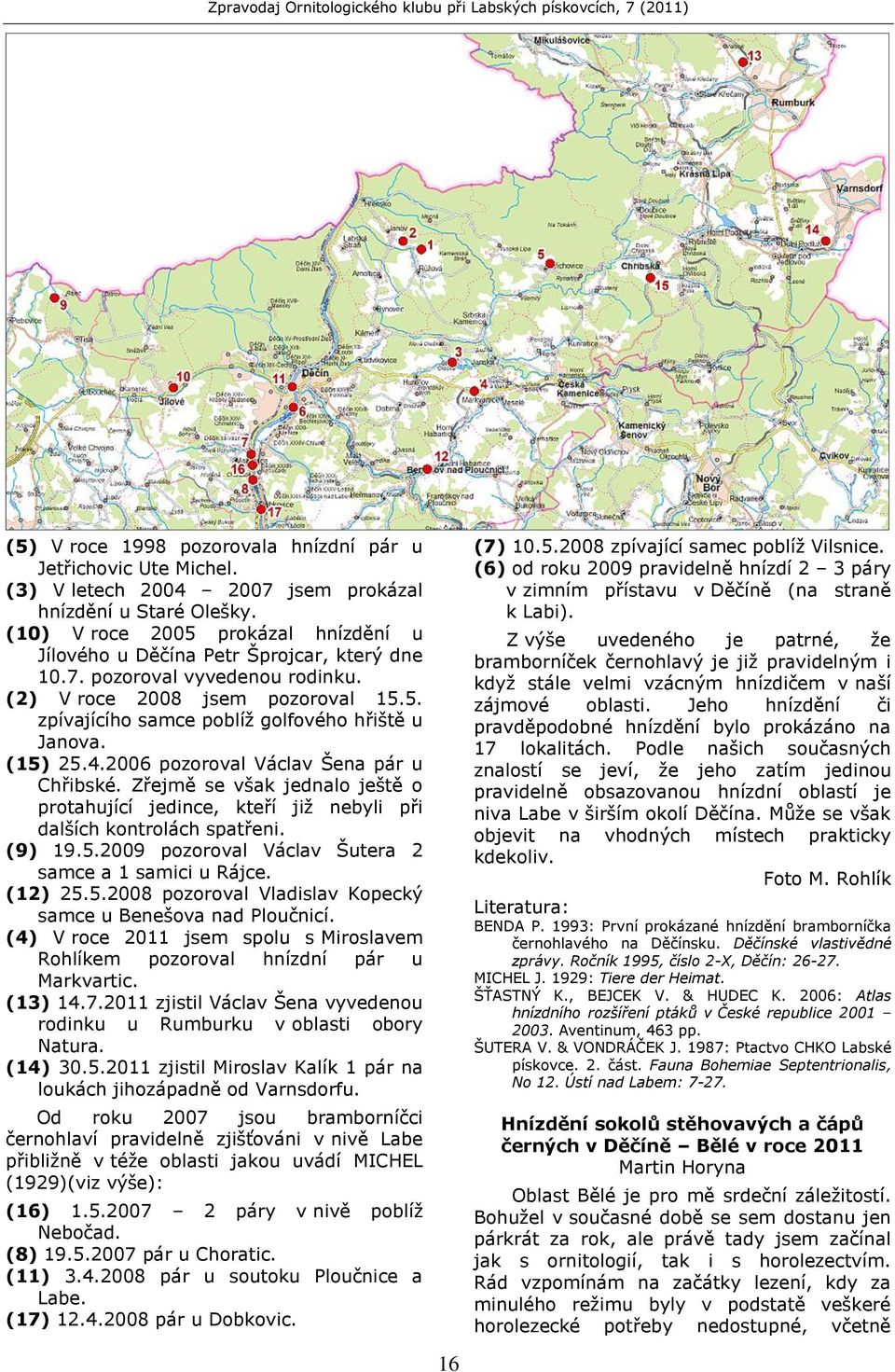 (15) 25.4.2006 pozoroval Václav Šena pár u Chřibské. Zřejmě se však jednalo ještě o protahující jedince, kteří jiţ nebyli při dalších kontrolách spatřeni. (9) 19.5.2009 pozoroval Václav Šutera 2 samce a 1 samici u Rájce.