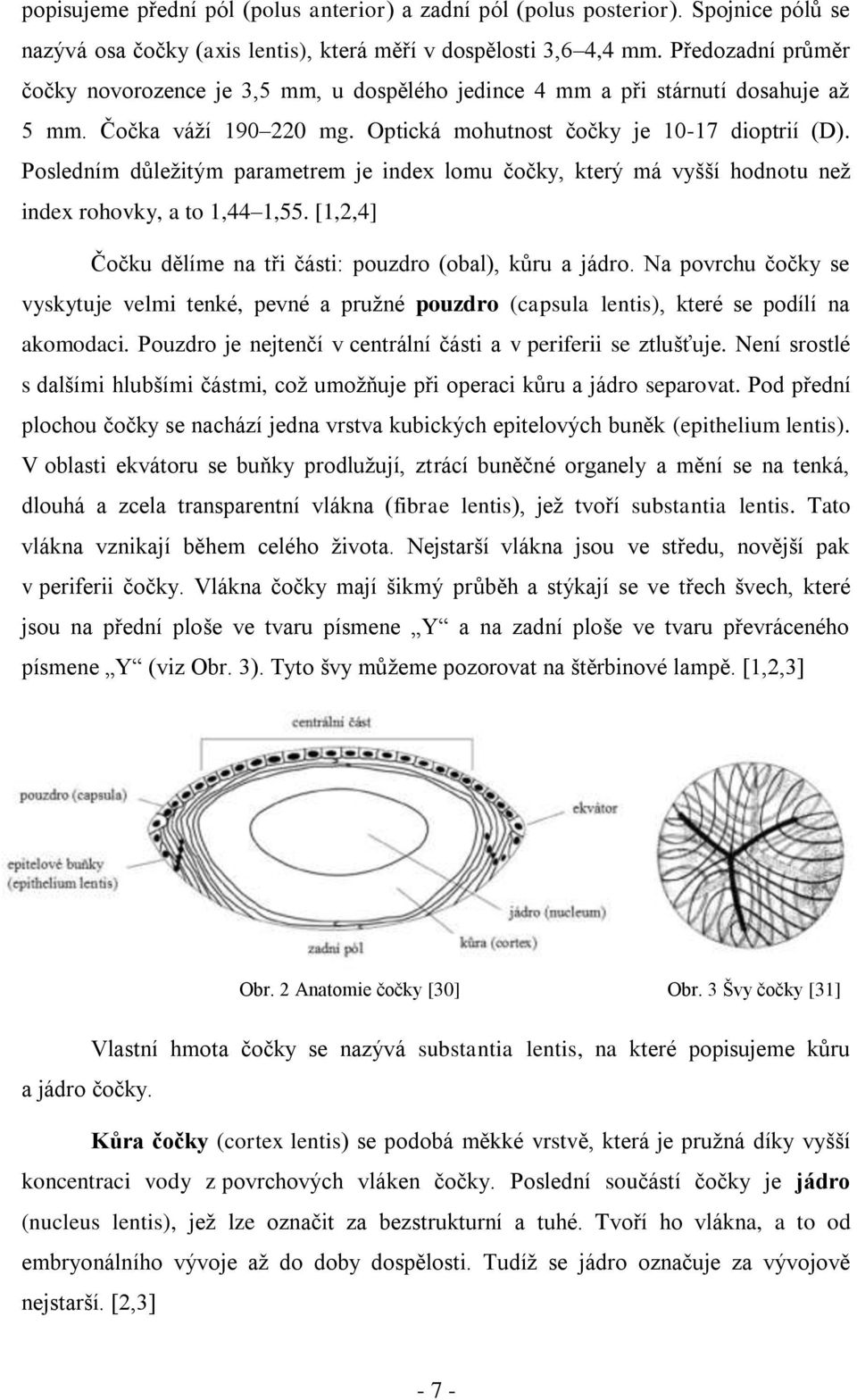 Posledním důležitým parametrem je index lomu čočky, který má vyšší hodnotu než index rohovky, a to 1,44 1,55. [1,2,4] Čočku dělíme na tři části: pouzdro (obal), kůru a jádro.