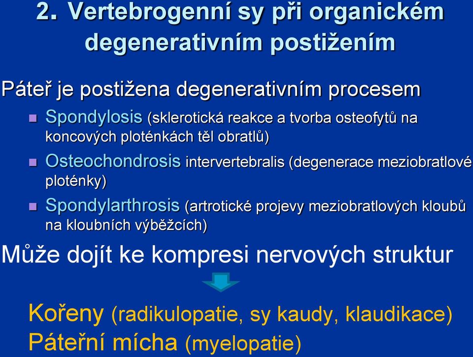 intervertebralis (degenerace meziobratlové ploténky) Spondylarthrosis (artrotické projevy meziobratlových kloubů