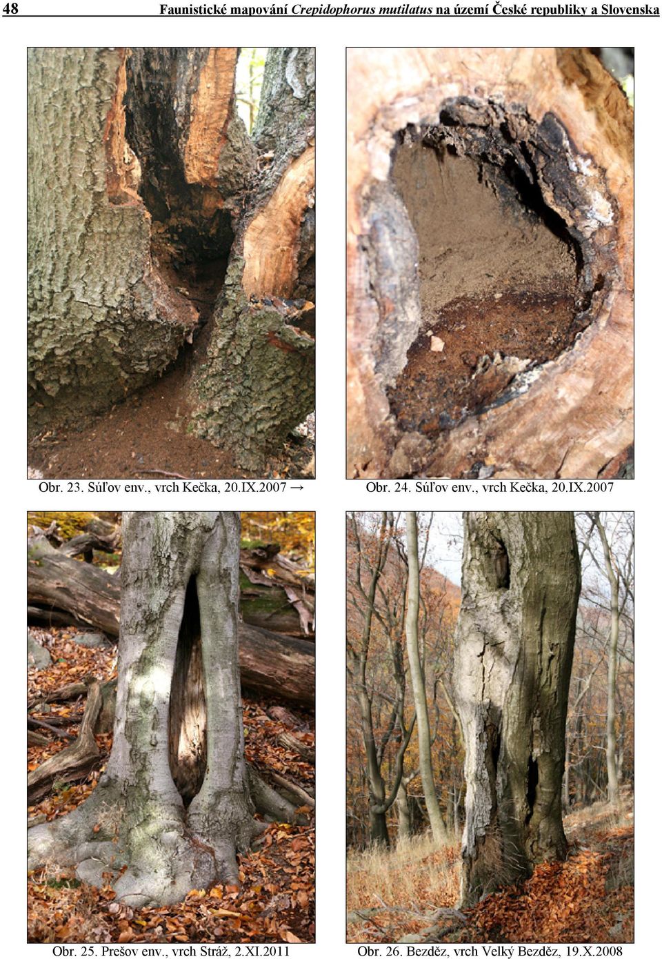 2007 Obr. 24. Súľov env., vrch Kečka, 20.IX.2007 Obr. 25.