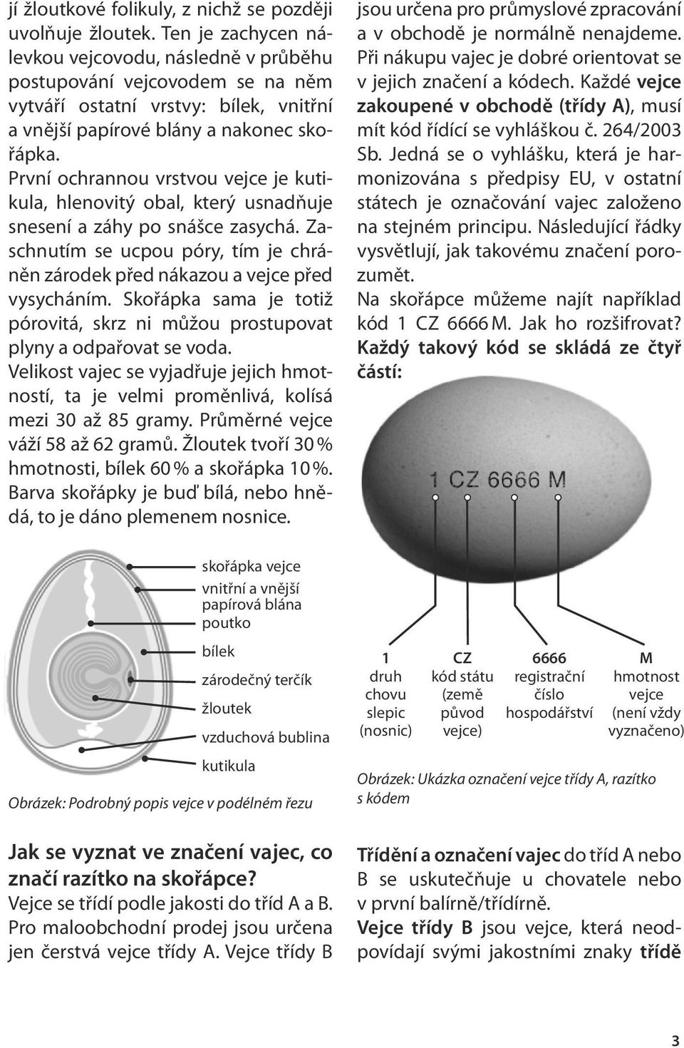 První ochrannou vrstvou vejce je kutikula, hlenovitý obal, který usnadňuje snesení a záhy po snášce zasychá. Zaschnutím se ucpou póry, tím je chráněn zárodek před nákazou a vejce před vysycháním.