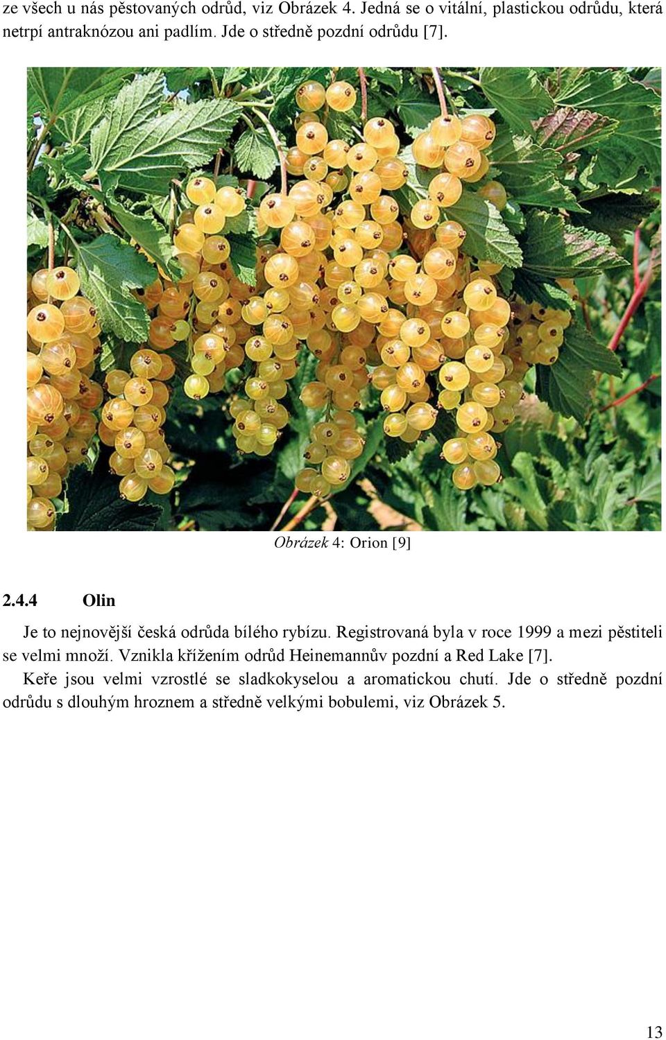 Registrovaná byla v roce 1999 a mezi pěstiteli se velmi množí. Vznikla křížením odrůd Heinemannův pozdní a Red Lake [7].