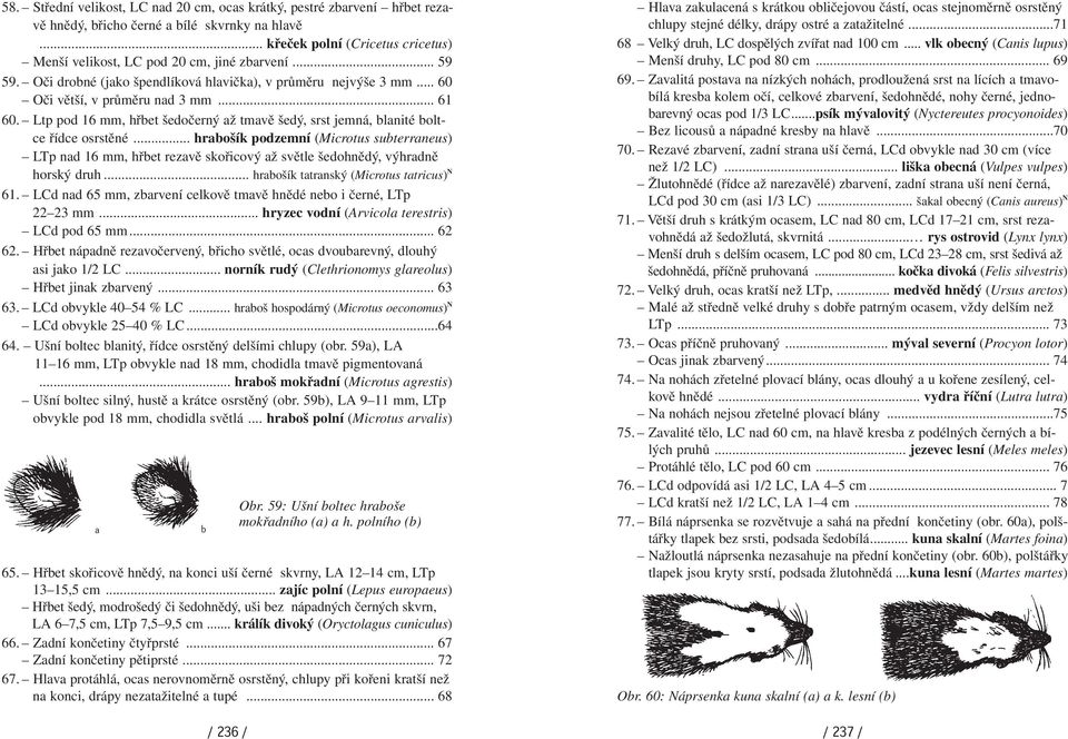 .. hrošík podzemní (Microtus suterrneus) LTp nd 16 mm, hřet rezvě skořicový ž světle šedohnědý, výhrdně horský druh... hrošík ttrnský (Microtus ttricus) N 61.