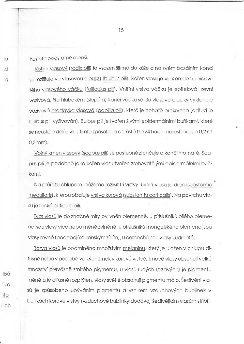 Na hlubokém (slepém) konci váčku se do vlasové cibulky vyklenuje vazivová bradavka vlasová (papilla pili), kíerá je bohatě prokrvena (odtud je bulbus pili vyživován).