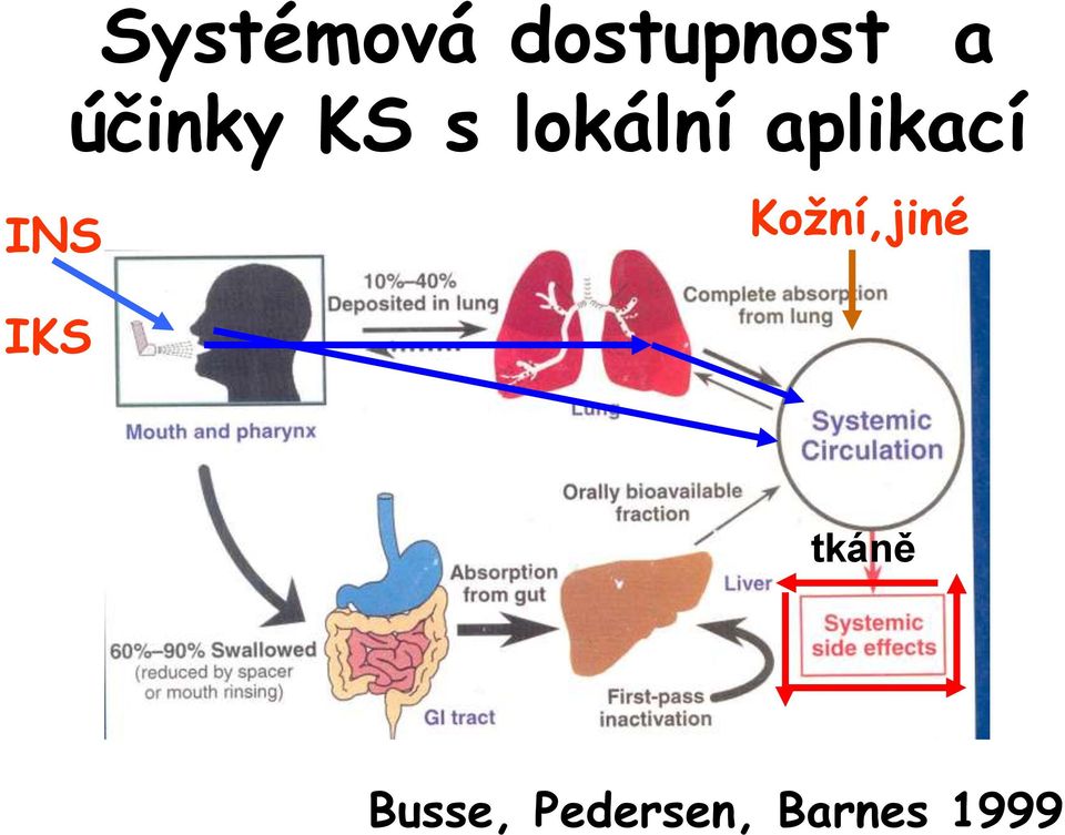 aplikací INS Kožní,jiné