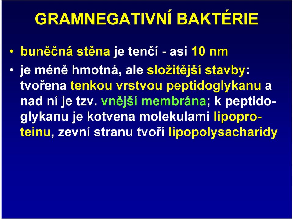 peptidoglykanu a nad ní je tzv.