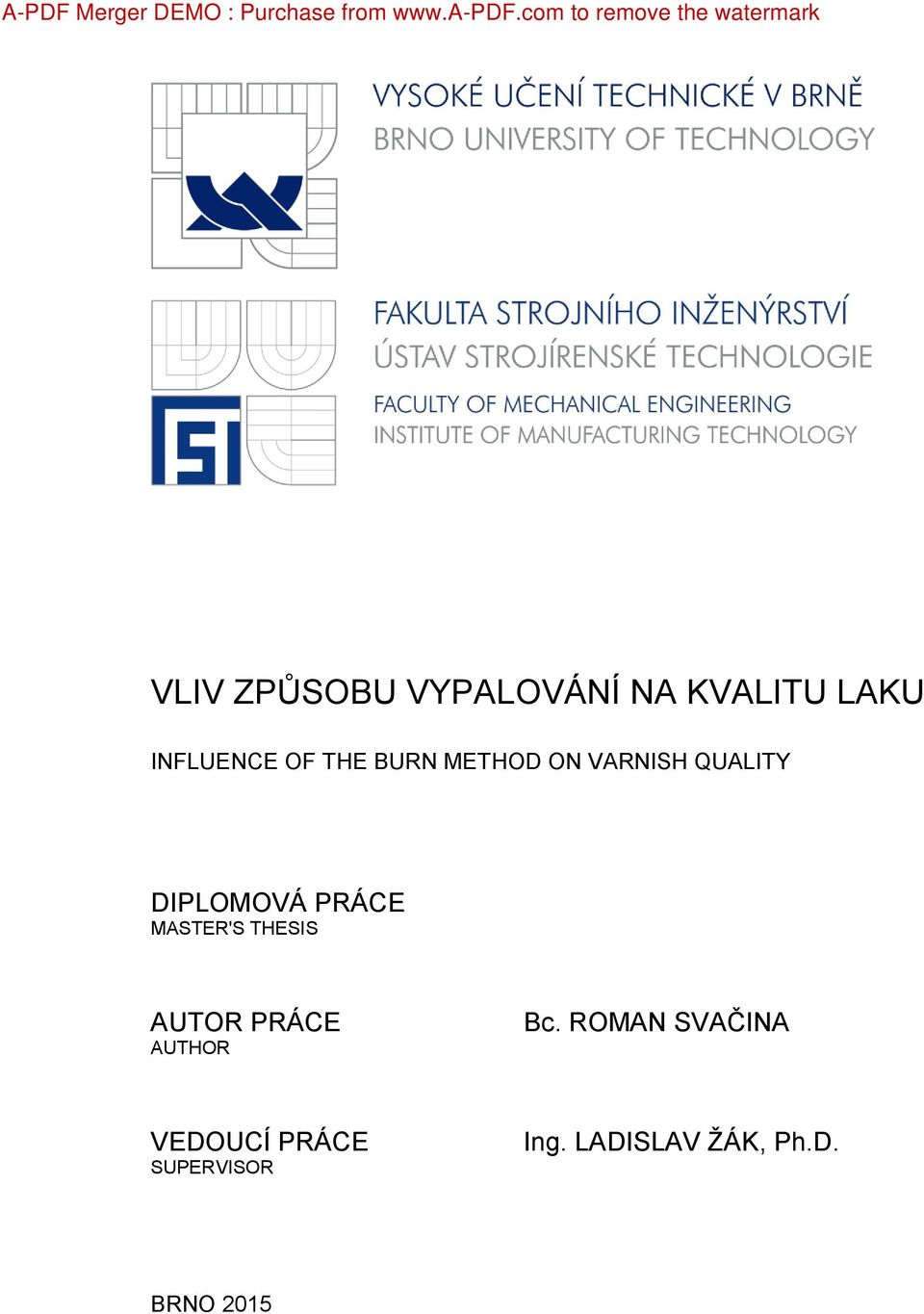 INFLUENCE OF THE BURN METHOD ON VARNISH QUALITY DIPLOMOVÁ PRÁCE