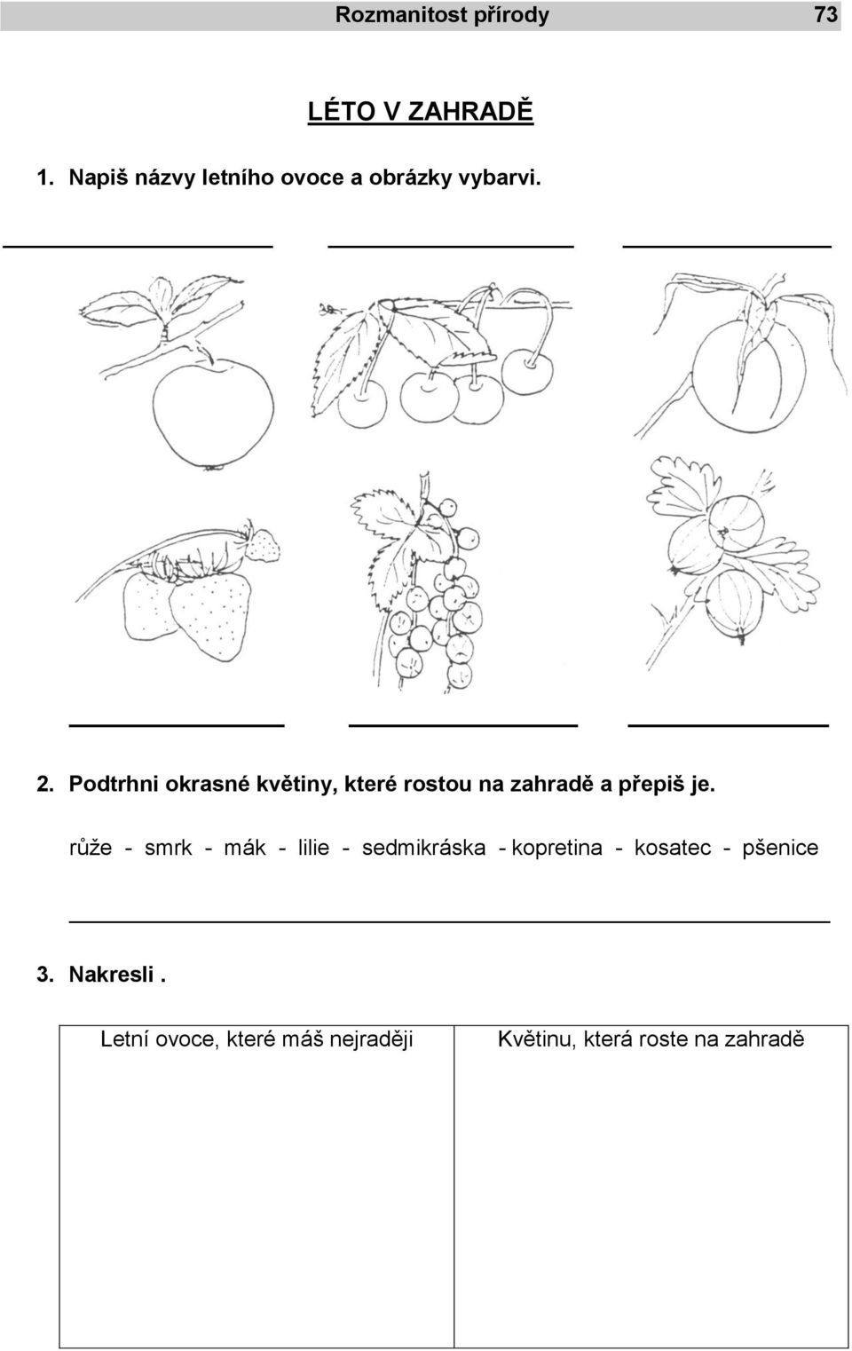 Podtrhni okrasné květiny, které rostou na zahradě a přepiš je.