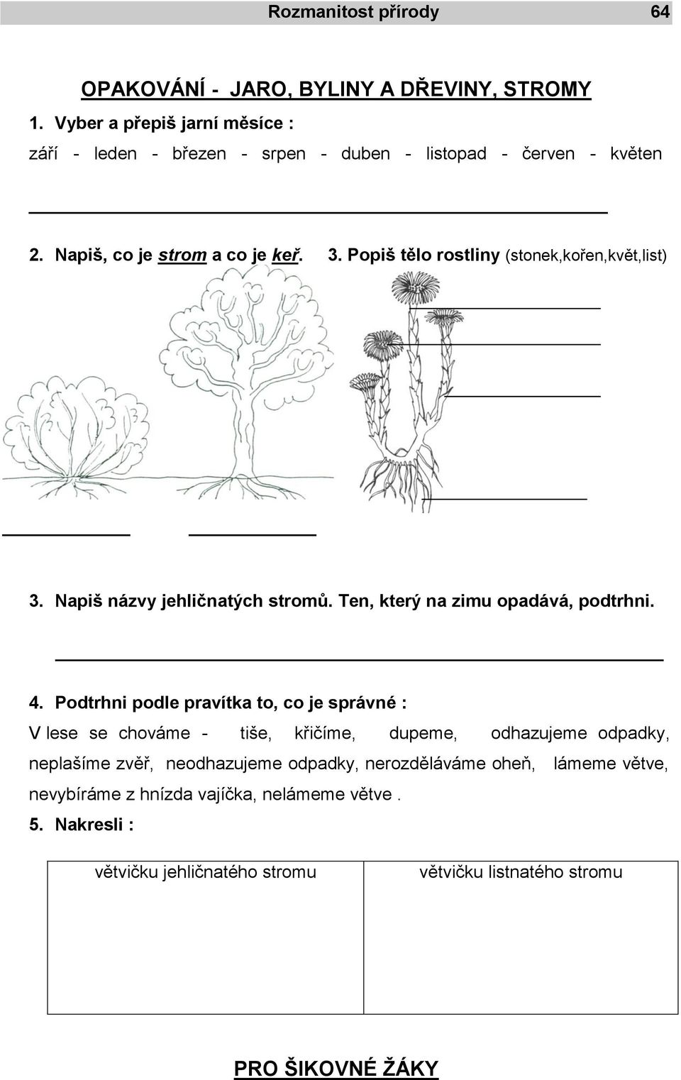 Popiš tělo rostliny (stonek,kořen,květ,list) 3. Napiš názvy jehličnatých stromů. Ten, který na zimu opadává, podtrhni. 4.