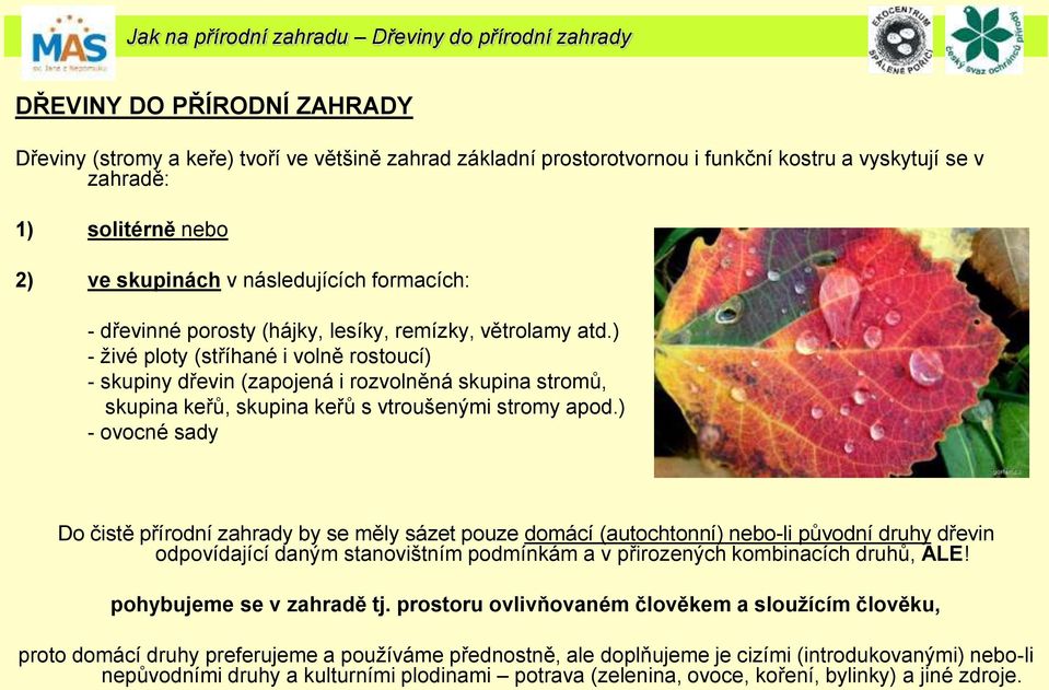 ) - živé ploty (stříhané i volně rostoucí) - skupiny dřevin (zapojená i rozvolněná skupina stromů, skupina keřů, skupina keřů s vtroušenými stromy apod.