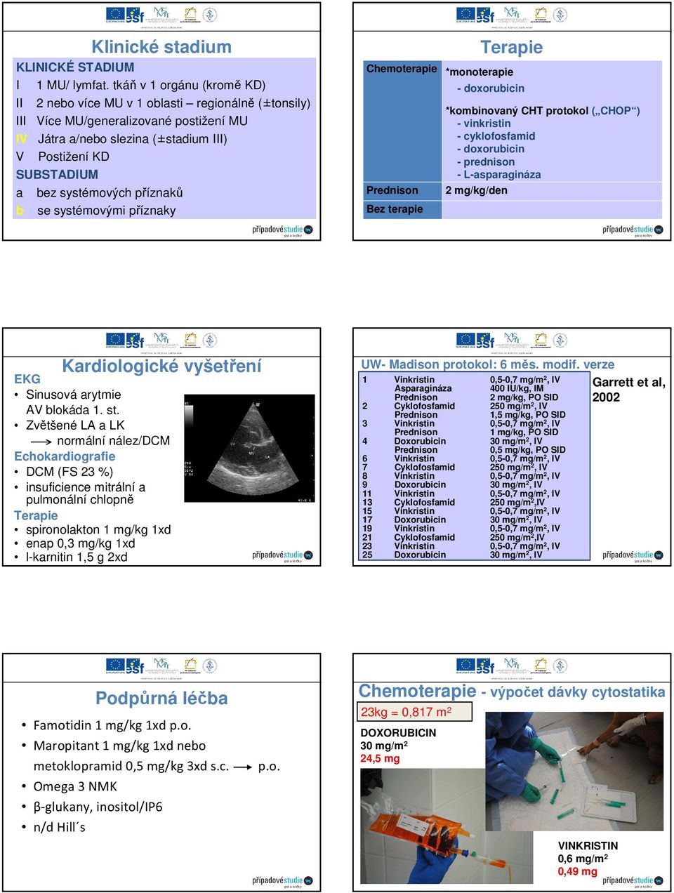 systémových příznaků b se systémovými příznaky Chemoterapie Bez terapie Terapie *monoterapie - doxorubicin *kombinovaný CHT protokol ( CHOP ) - vinkristin - cyklofosfamid - doxorubicin - prednison -