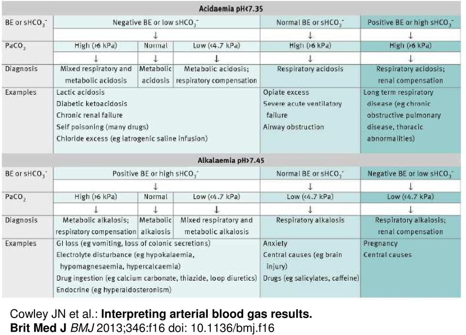 blood gas results.