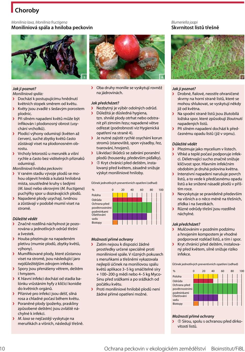 Plodící výhony odumírají (květen až červen), suché zbytky květů často zůstávají viset na plodonosném obrostu. Vrcholy letorostů u meruněk a višní rychle a často bez viditelných příznaků odumírají.