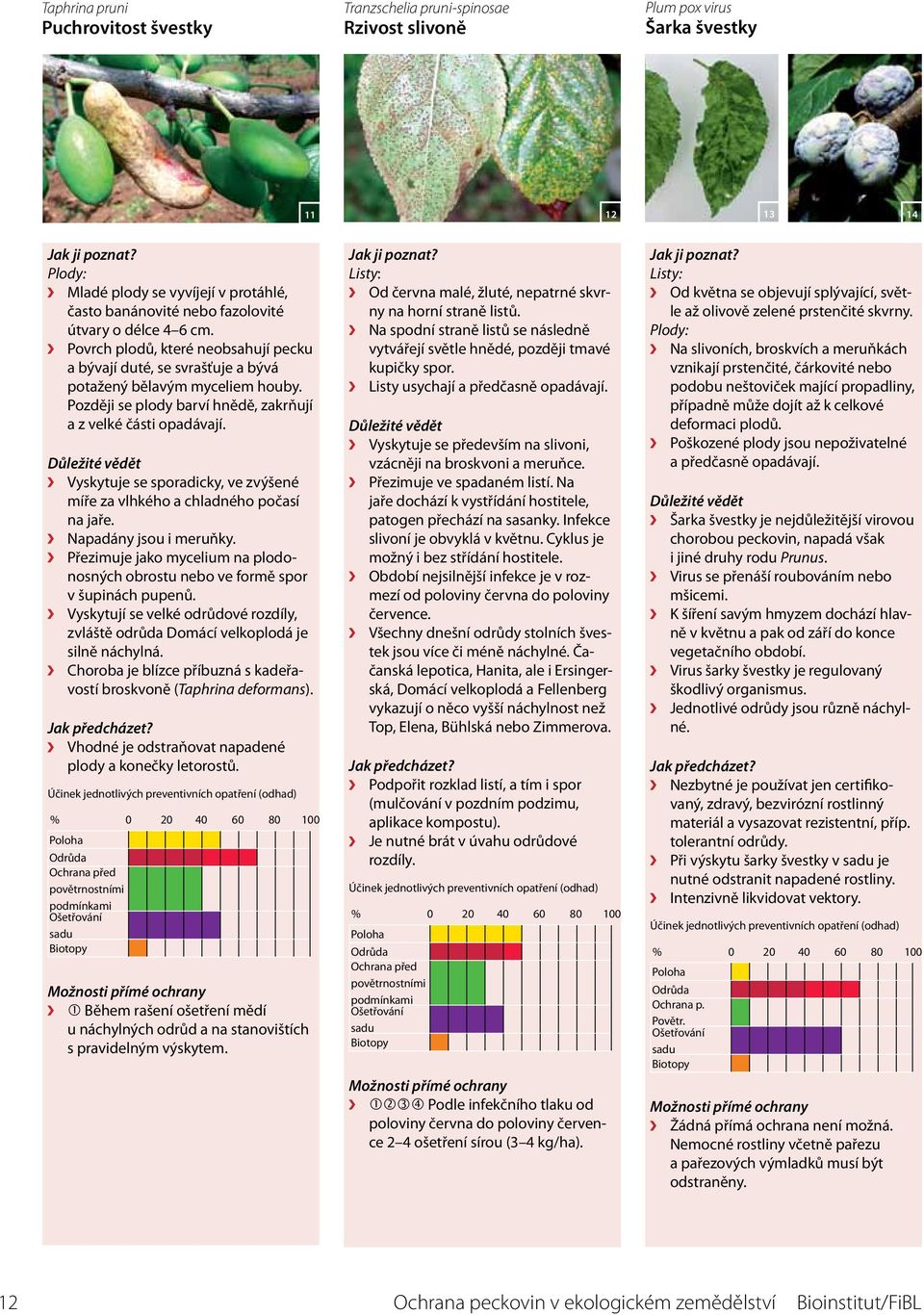 Vyskytuje se sporadicky, ve zvýšené míře za vlhkého a chladného počasí na jaře. Napadány jsou i meruňky. Přezimuje jako mycelium na plodonosných obrostu nebo ve formě spor v šupinách pupenů.