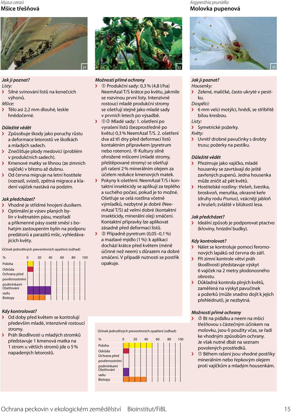 Kmenové matky se líhnou (ze zimních vajíček) v březnu až dubnu. Od června migruje na letní hostitele (rozrazil, svízel), zpětná migrace a kladení vajíček nastává na podzim.