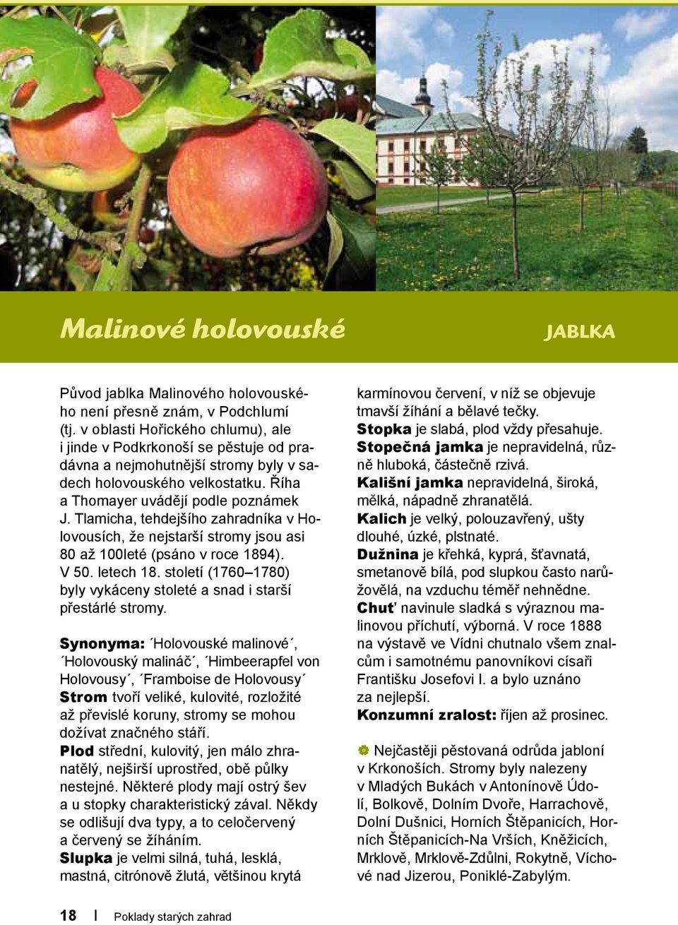 Tlamicha, tehdejšího zahradníka v Holovousích, že nejstarší stromy jsou asi 80 až 100leté (psáno v roce 1894). V 50. letech 18.