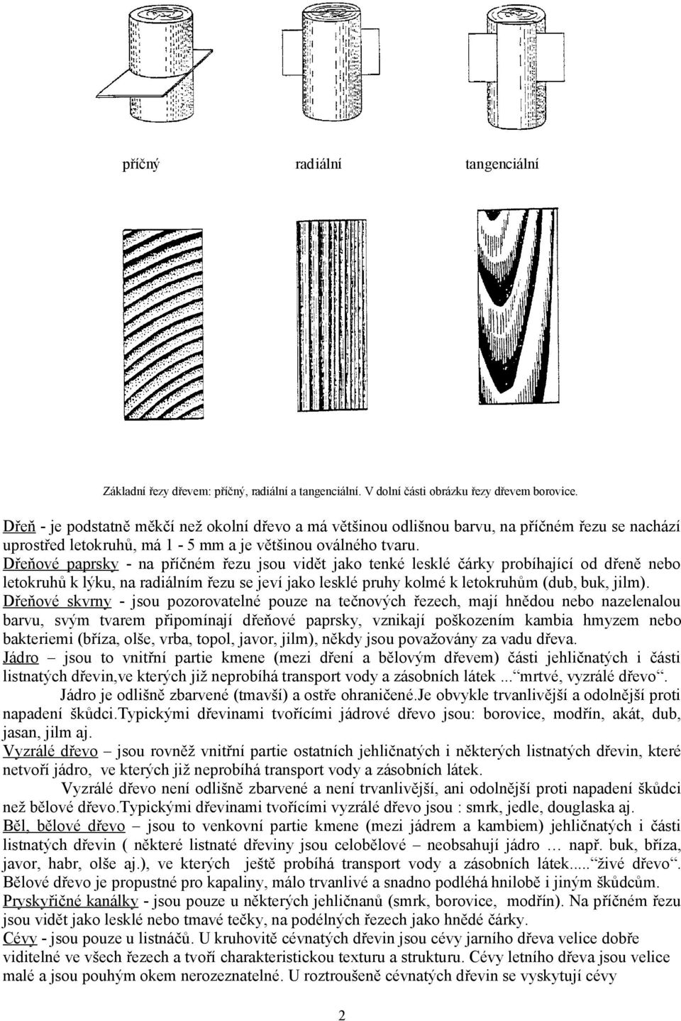 Dřeňové paprsky - na příčném řezu jsou vidět jako tenké lesklé čárky probíhající od dřeně nebo letokruhů k lýku, na radiálním řezu se jeví jako lesklé pruhy kolmé k letokruhům (dub, buk, jilm).