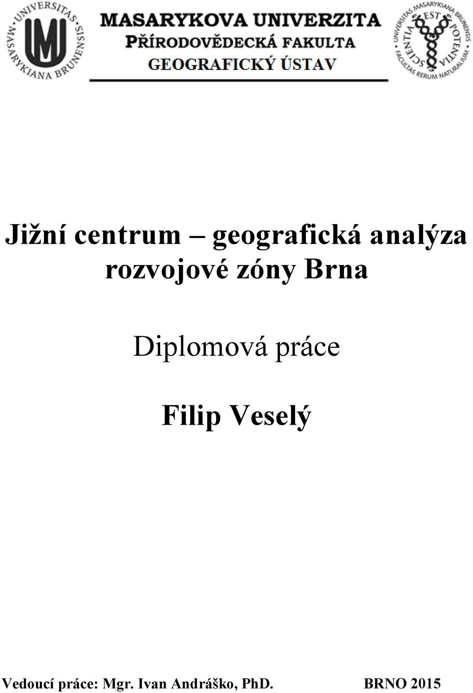 Diplomová práce Filip Veselý