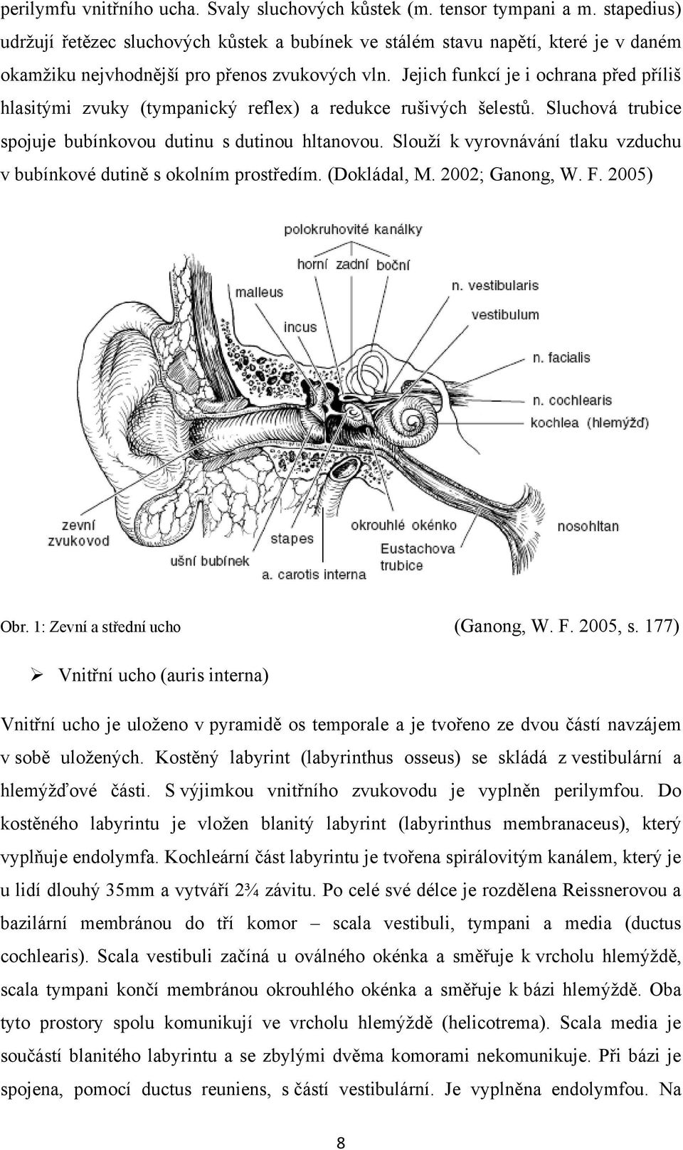 Jejich funkcí je i ochrana před příliš hlasitými zvuky (tympanický reflex) a redukce rušivých šelestů. Sluchová trubice spojuje bubínkovou dutinu s dutinou hltanovou.