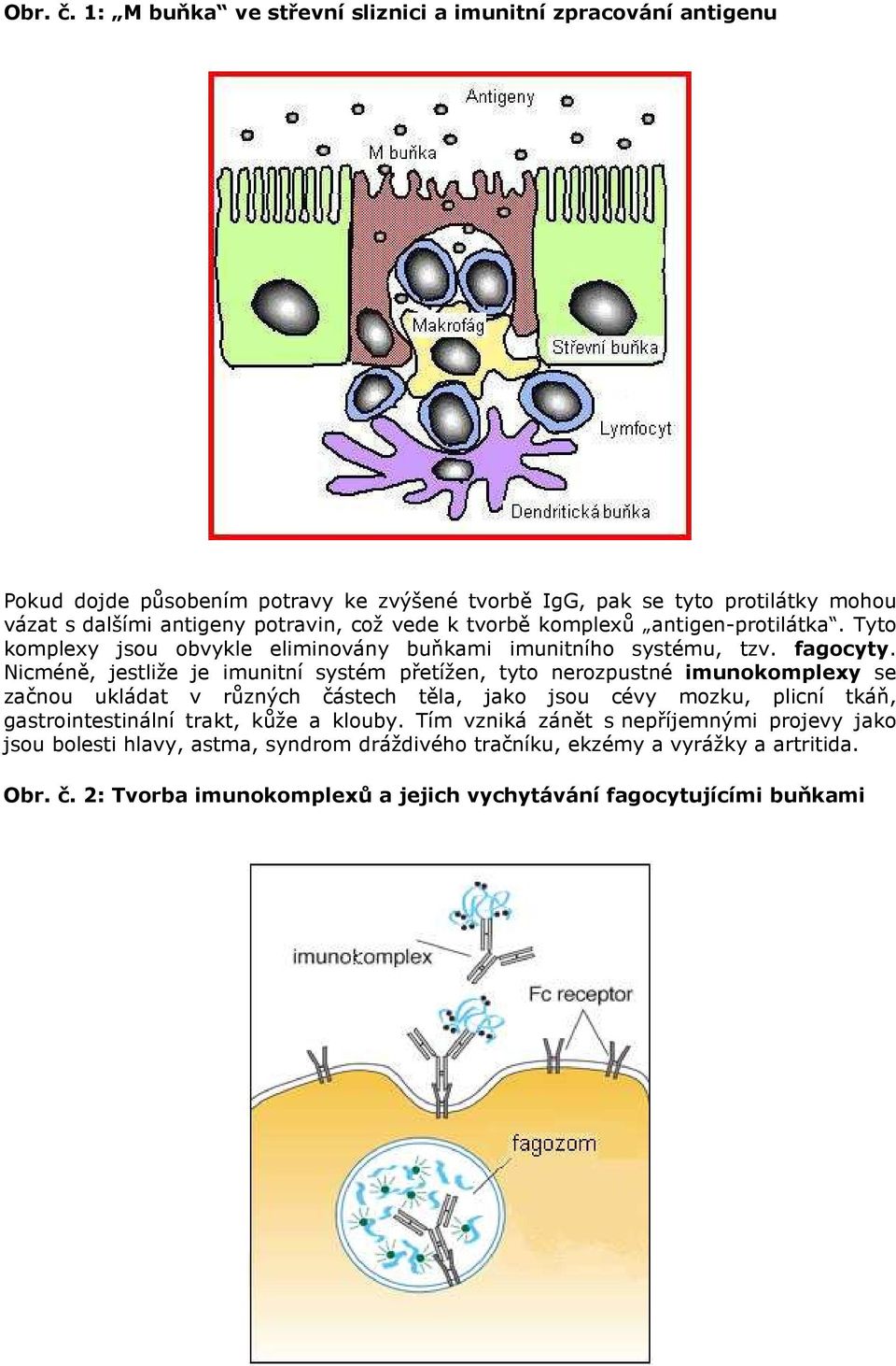 což vede k tvorbě komplexů antigen-protilátka. Tyto komplexy jsou obvykle eliminovány buňkami imunitního systému, tzv. fagocyty.