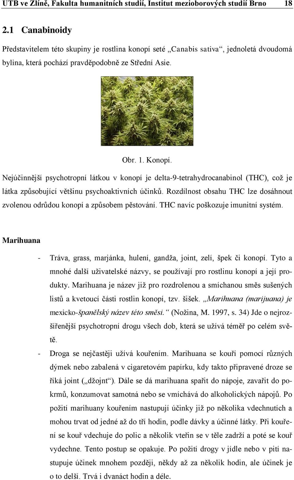 Nejúčinnější psychotropní látkou v konopí je delta-9-tetrahydrocanabinol (THC), což je látka způsobující většinu psychoaktivních účinků.