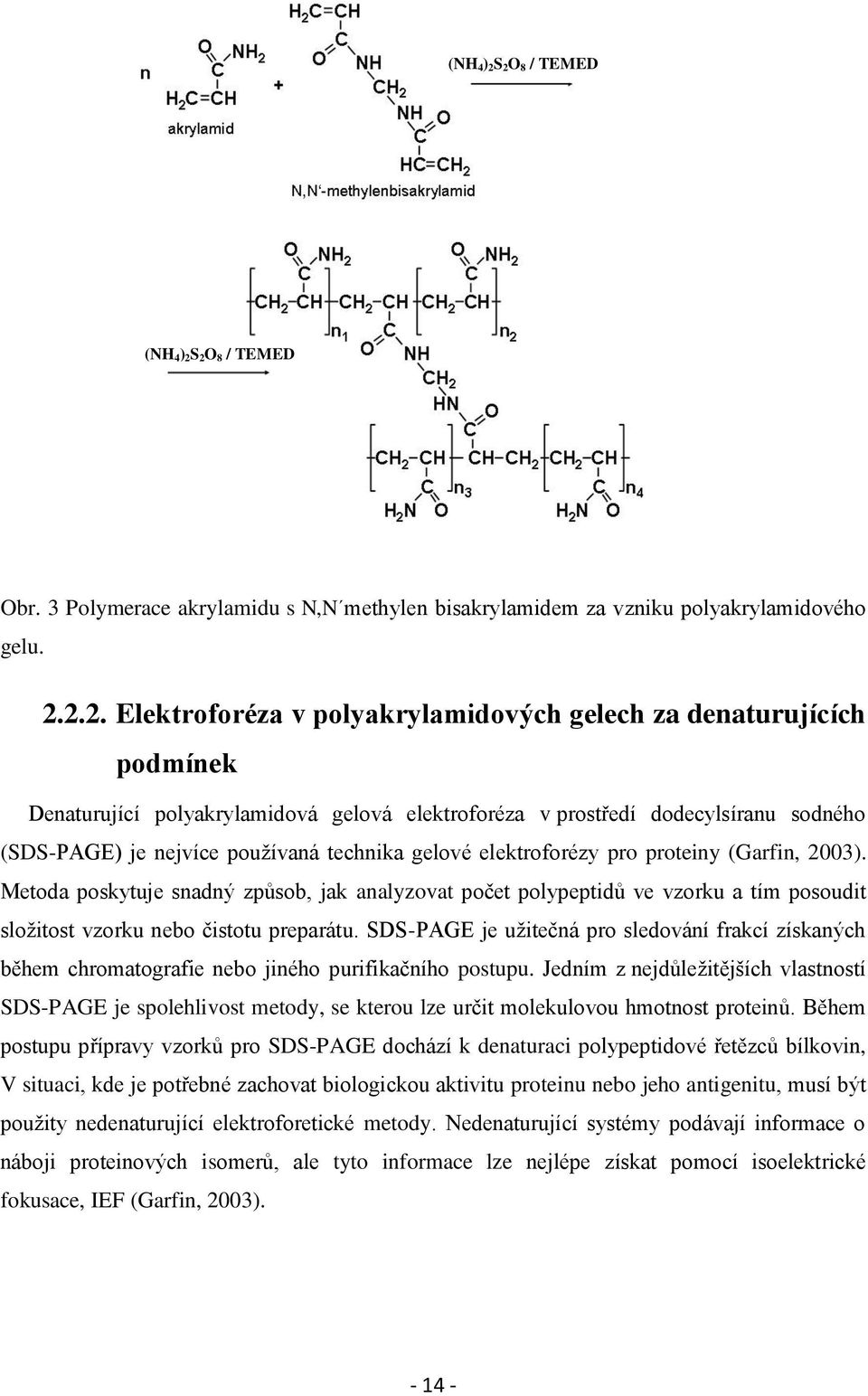 podmínek Denaturující polyakrylamidová gelová elektroforéza v prostředí dodecylsíranu sodného (SDS-PAGE) je nejvíce pouţívaná technika gelové elektroforézy pro proteiny (Garfin, 2003).