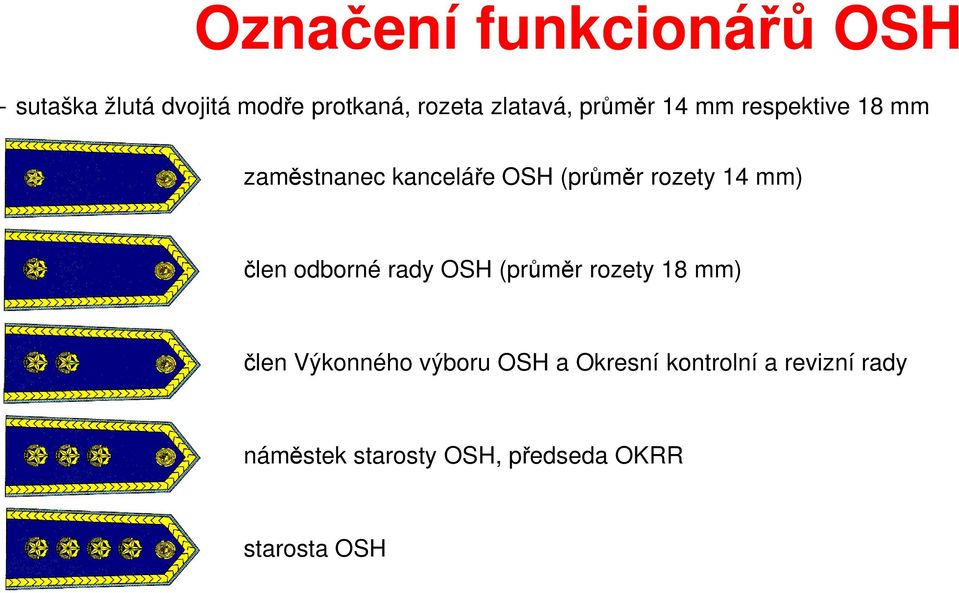 rozety 14 mm) člen odborné rady OSH (průměr rozety 18 mm) člen Výkonného