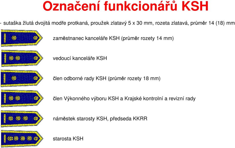 vedoucí kanceláře KSH člen odborné rady KSH (průměr rozety 18 mm) člen Výkonného výboru