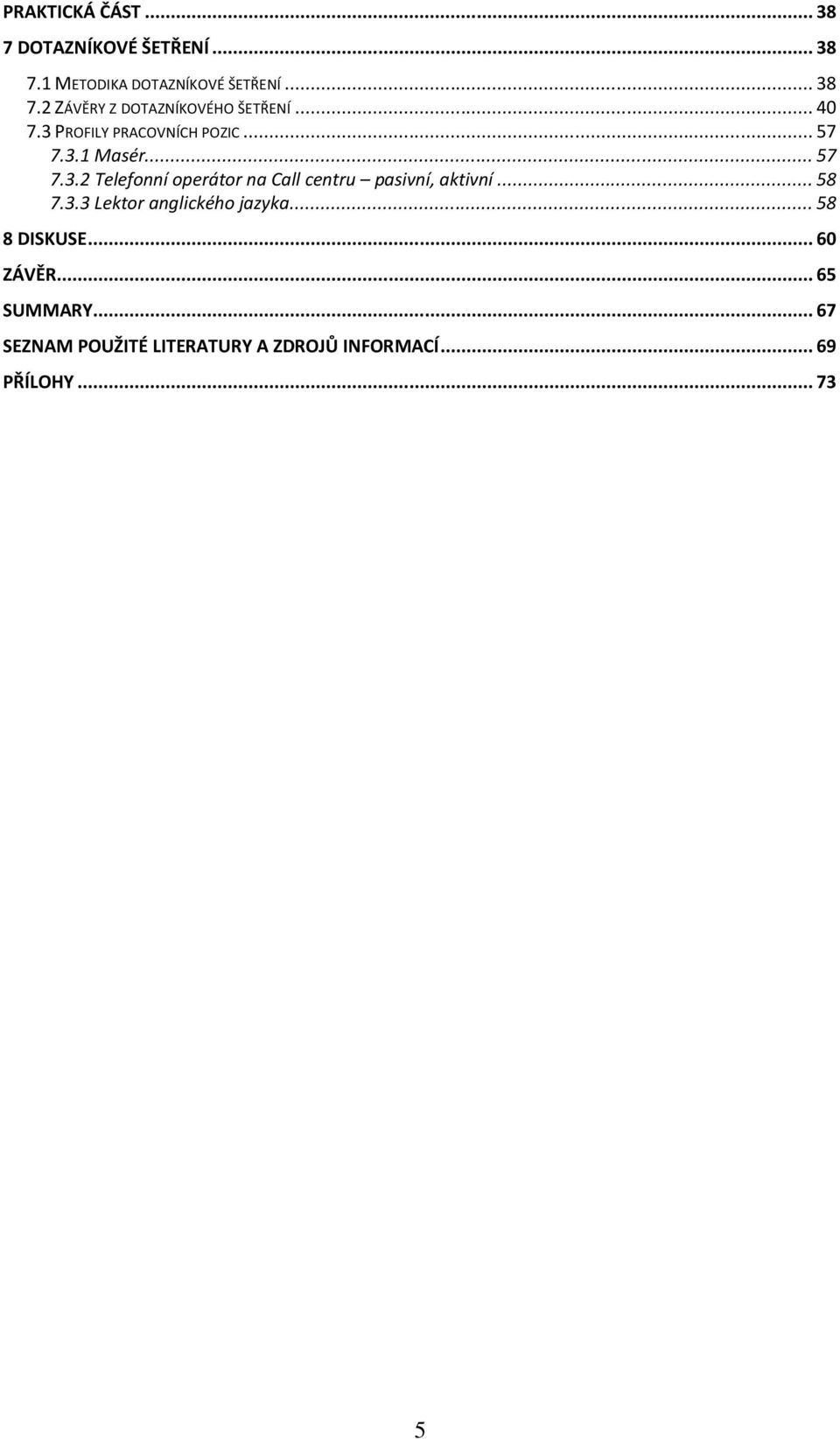 .. 58 7.3.3 Lektor anglického jazyka... 58 8 DISKUSE... 60 ZÁVĚR... 65 SUMMARY.
