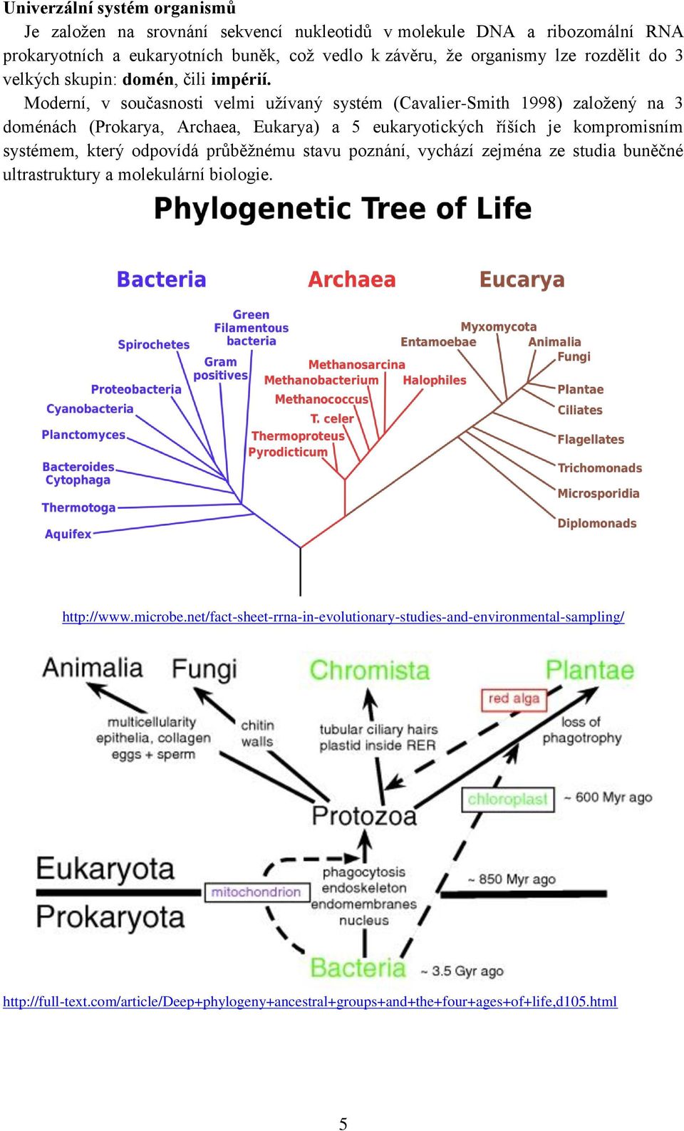 Moderní, v současnosti velmi užívaný systém (Cavalier-Smith 1998) založený na 3 doménách (Prokarya, Archaea, Eukarya) a 5 eukaryotických říších je kompromisním systémem, který