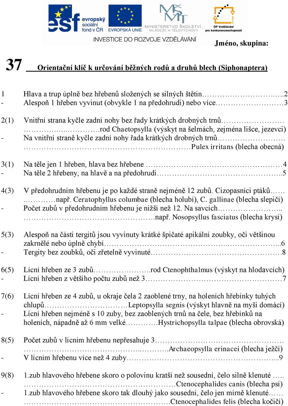 ....rod Chaetopsylla (výskyt na šelmách, zejména lišce, jezevci) - Na vnitřní straně kyčle zadní nohy řada krátkých drobných trnů Pulex irritans (blecha obecná) 3(1) Na těle jen 1 hřeben, hlava bez