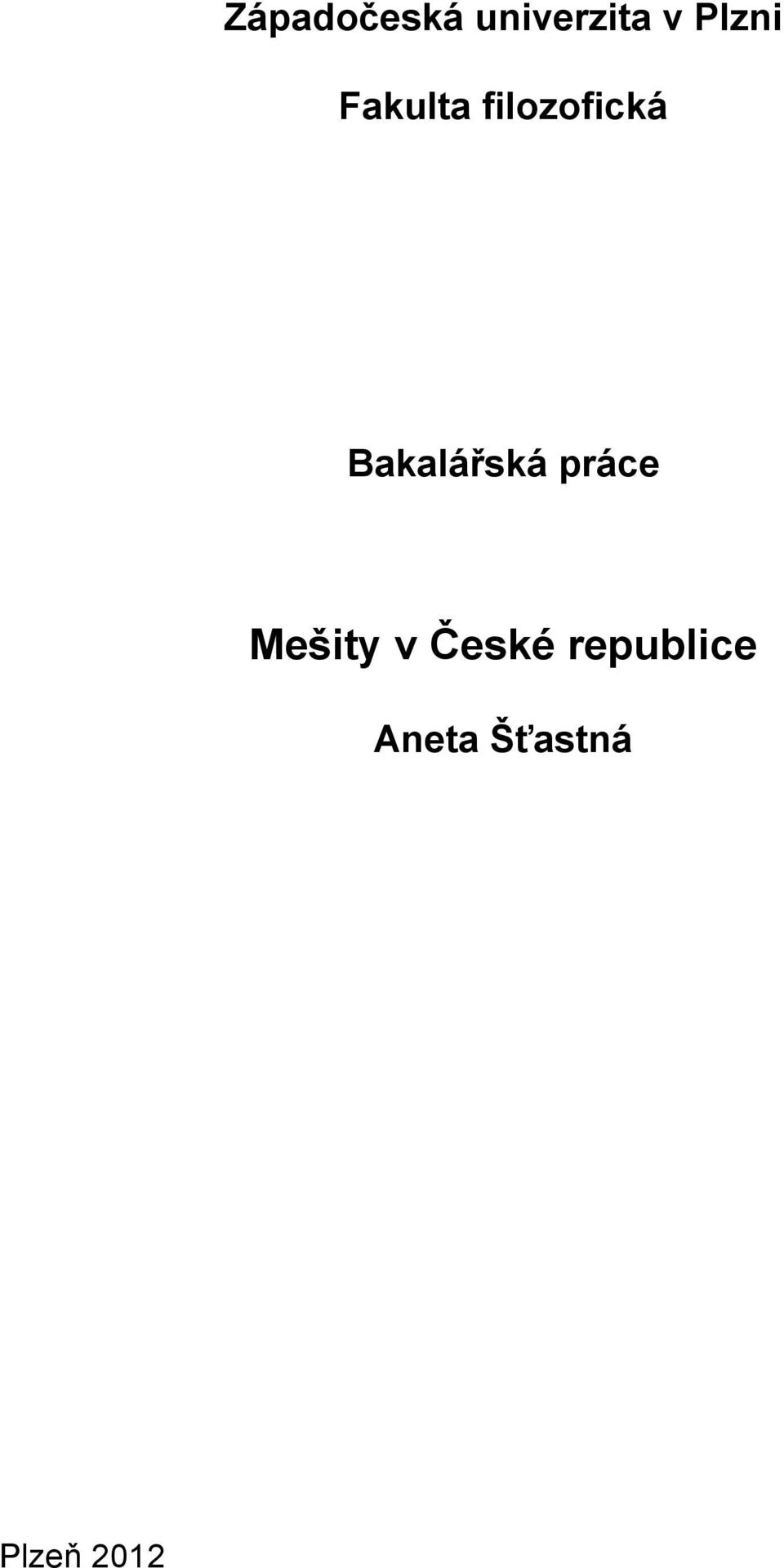 Bakalářská práce Mešity v