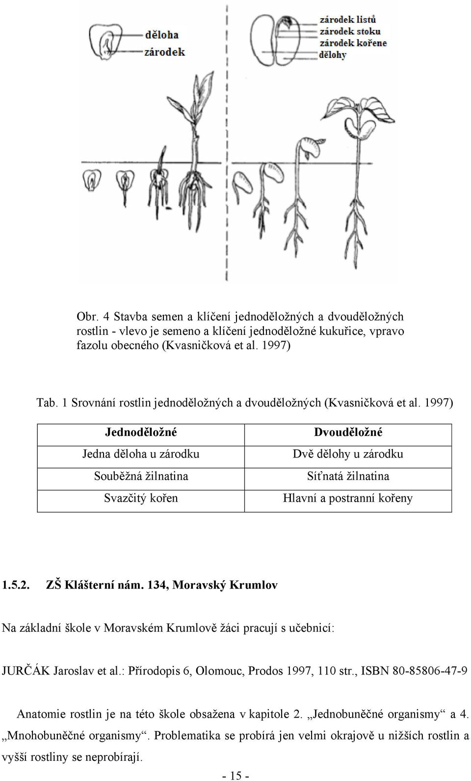 1997) Jednoděložné Jedna děloha u zárodku Souběţná ţilnatina Svazčitý kořen Dvouděložné Dvě dělohy u zárodku Síťnatá ţilnatina Hlavní a postranní kořeny 1.5.2. ZŠ Klášterní nám.