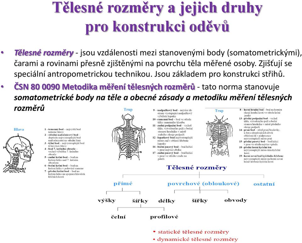 Zjišťují se speciální antropometrickou technikou. Jsou základem pro konstrukci střihů.