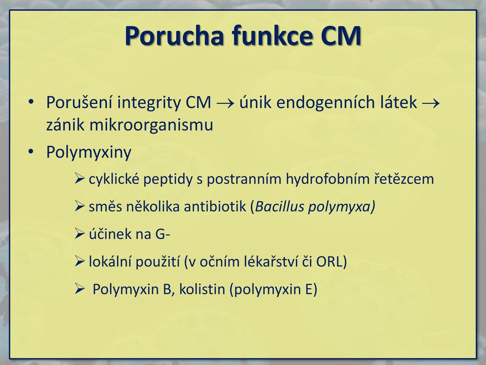 řetězcem směs několika antibiotik (Bacillus polymyxa) účinek na G-