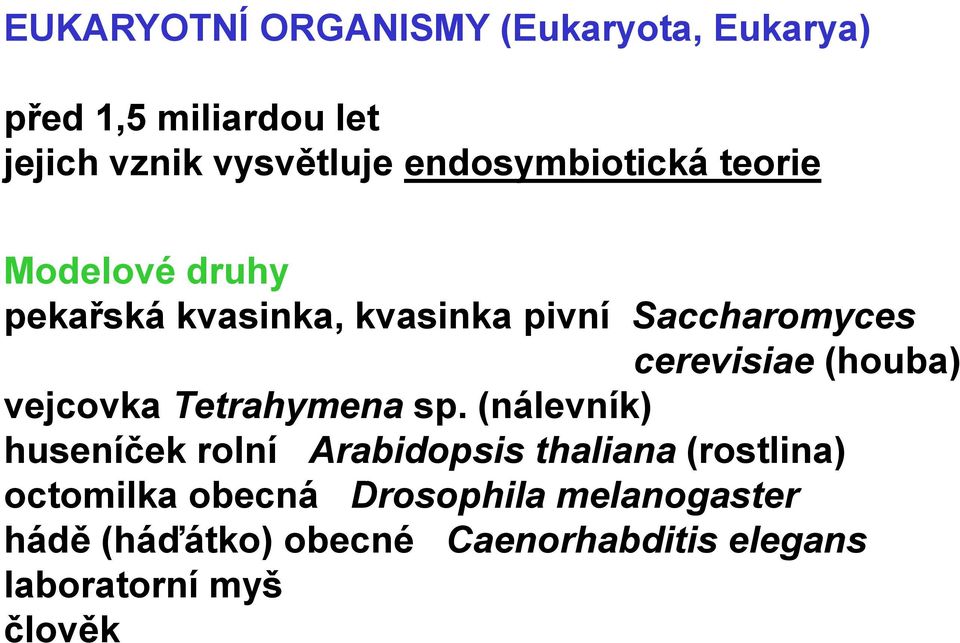 (houba) vejcovka Tetrahymena sp.