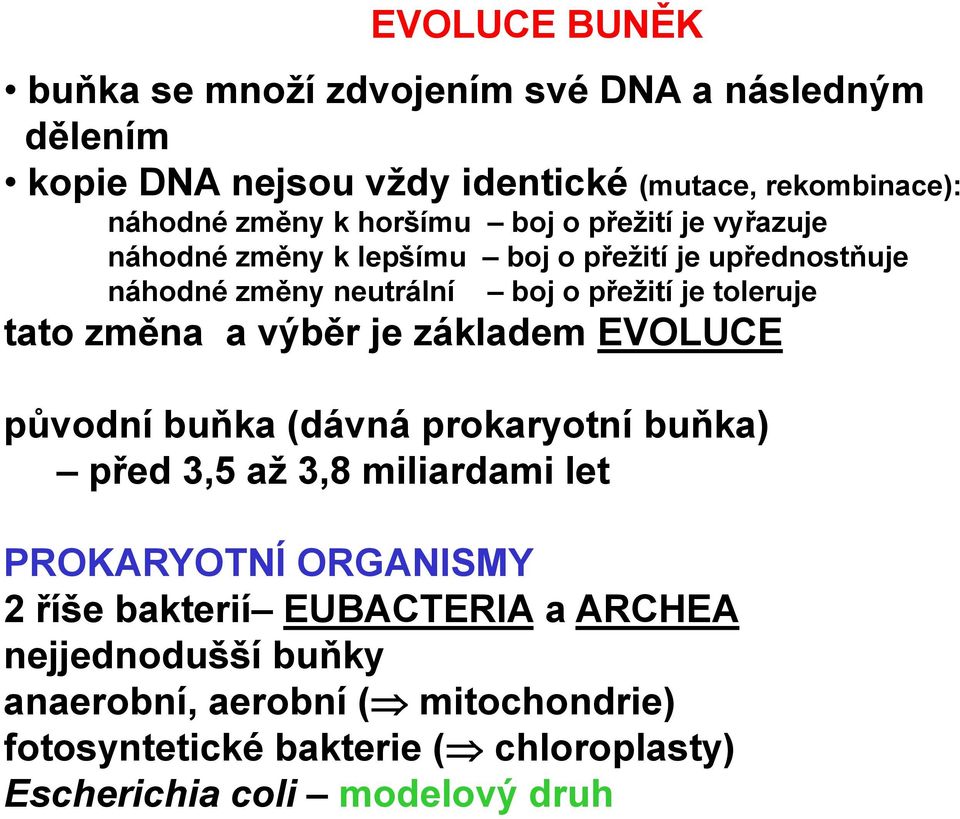 tato změna a výběr je základem EVOLUCE původní buňka (dávná prokaryotní buňka) před 3,5 až 3,8 miliardami let PROKARYOTNÍ ORGANISMY 2 říše