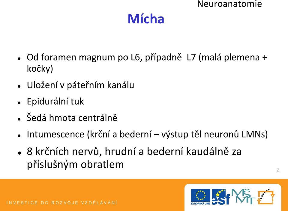 hmota centrálně Intumescence (krční a bederní výstup těl neuronů