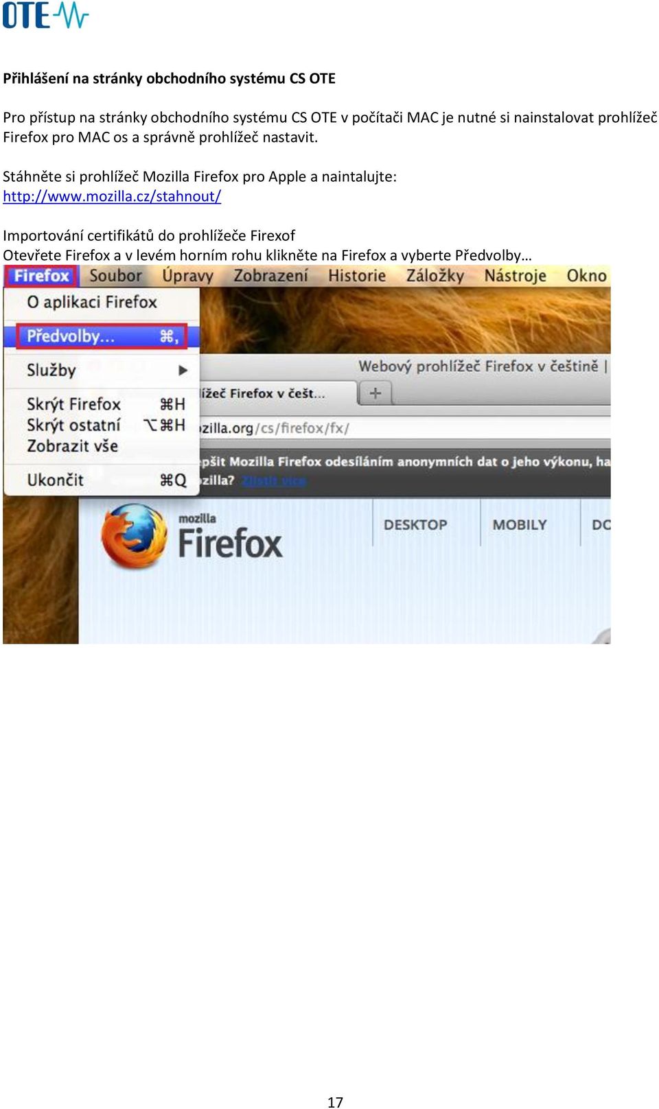 Stáhněte si prohlížeč Mozilla Firefox pro Apple a naintalujte: http://www.mozilla.