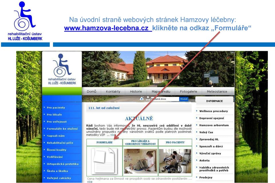 www.hamzova-lecebna.