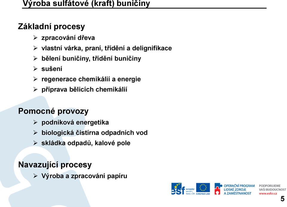 energie příprava bělicích chemikálií Pomocné provozy podniková energetika biologická