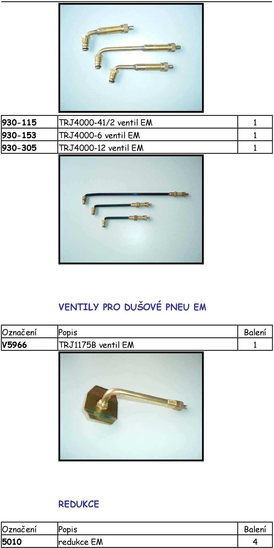 DUŠOVÉ PNEU EM Označení Popis Balení V5966 TRJ1175B