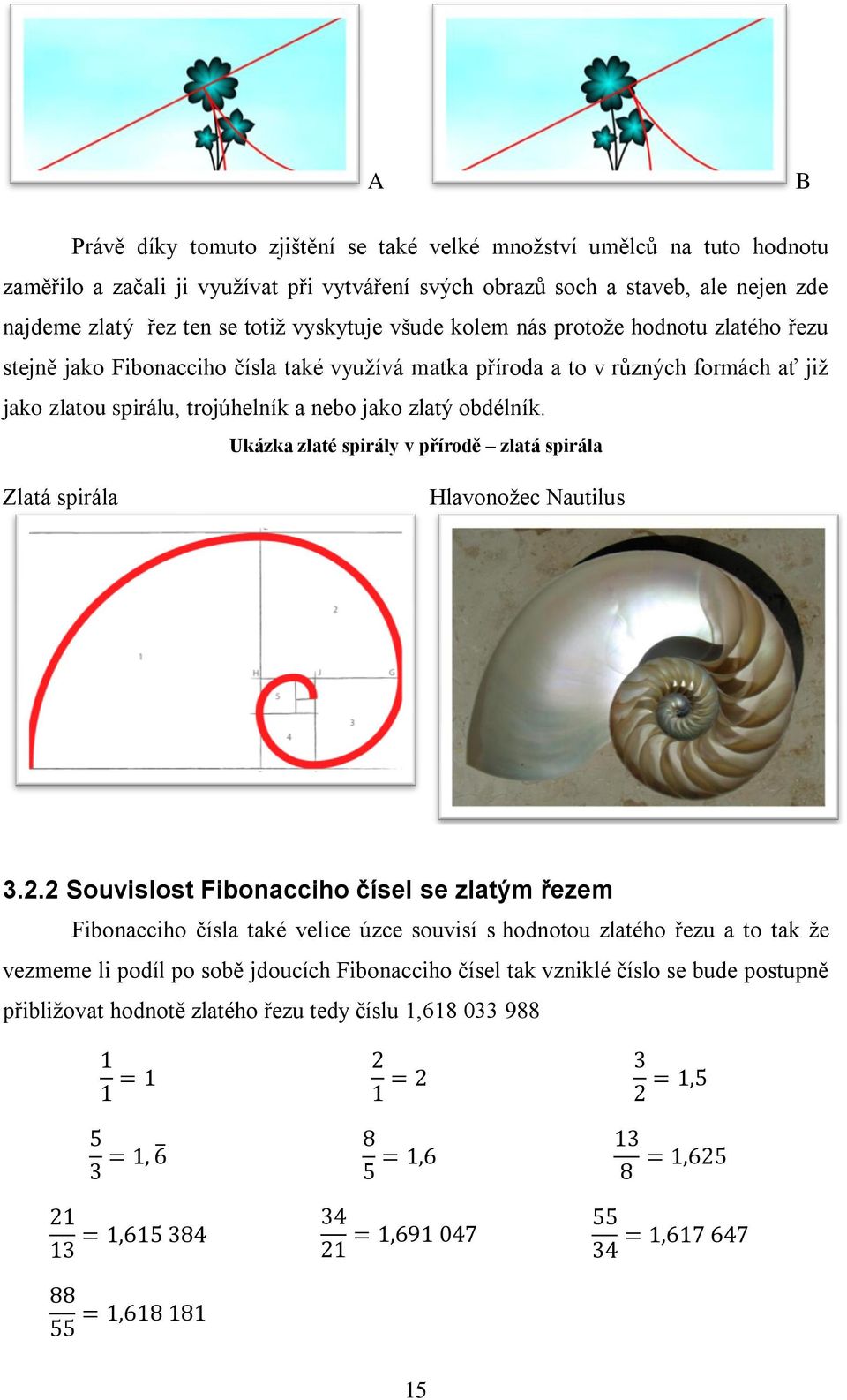 jako zlatý obdélník. Ukázka zlaté spirály v přírodě zlatá spirála Zlatá spirála Hlavonožec Nautilus 3.2.