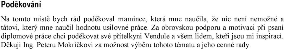 Za obrovskou podporu a motivaci při psaní diplomové práce chci poděkovat své přítelkyni