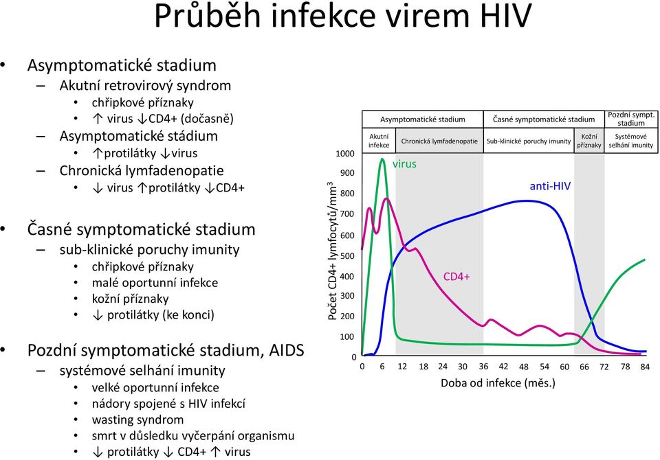 200 Akutní infekce Asymptomatické stadium Chronická lymfadenopatie virus CD4+ Časné symptomatické stadium Sub-klinické poruchy imunity anti-hiv Kožní příznaky Pozdní sympt.